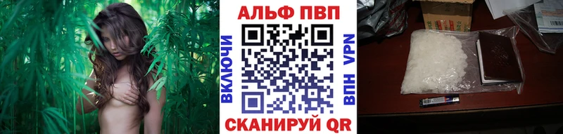 Купить закладки  Зеленокумск  A-PVP СК 