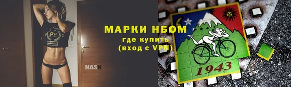 a pvp Инта