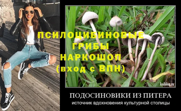 a pvp Инта